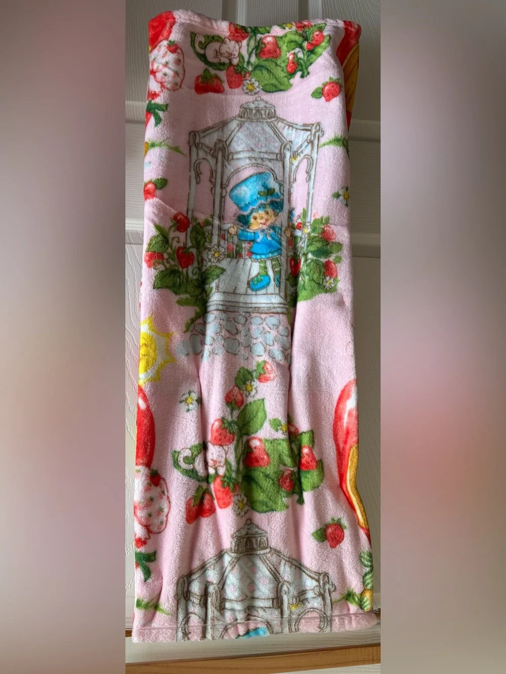 Strawberry Shortcake Blanket Themed Pink Plush Throw Blanket 50x70” new